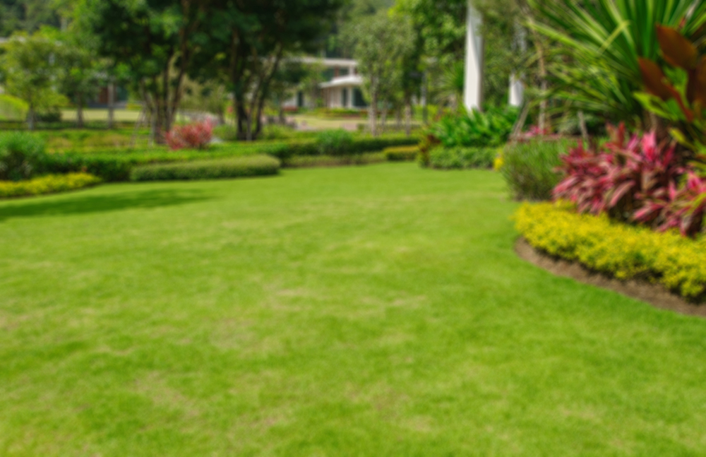 Why Auburn CA Investment Property Owners Should Hire Professional Landscaping Services for Their Tenants